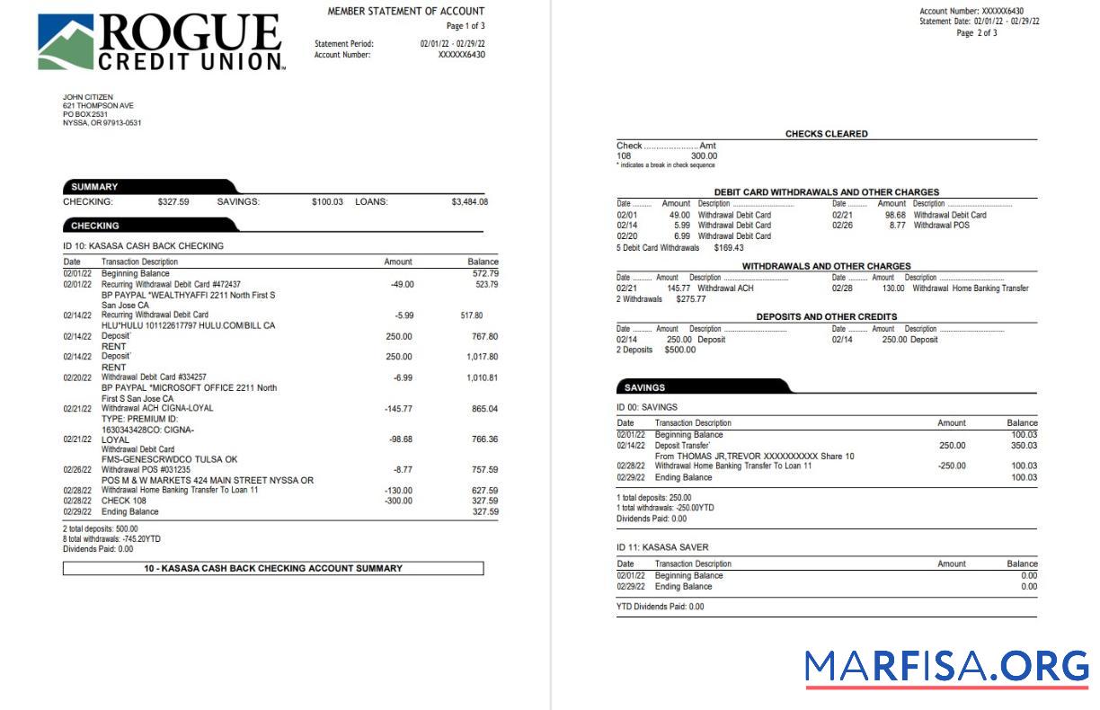 Printable USA Oregon Rogue bank statement word 3 pages download for verification